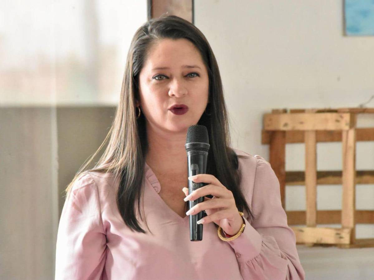 Diputados con más de una década en el Congreso Nacional que buscan reelegirse