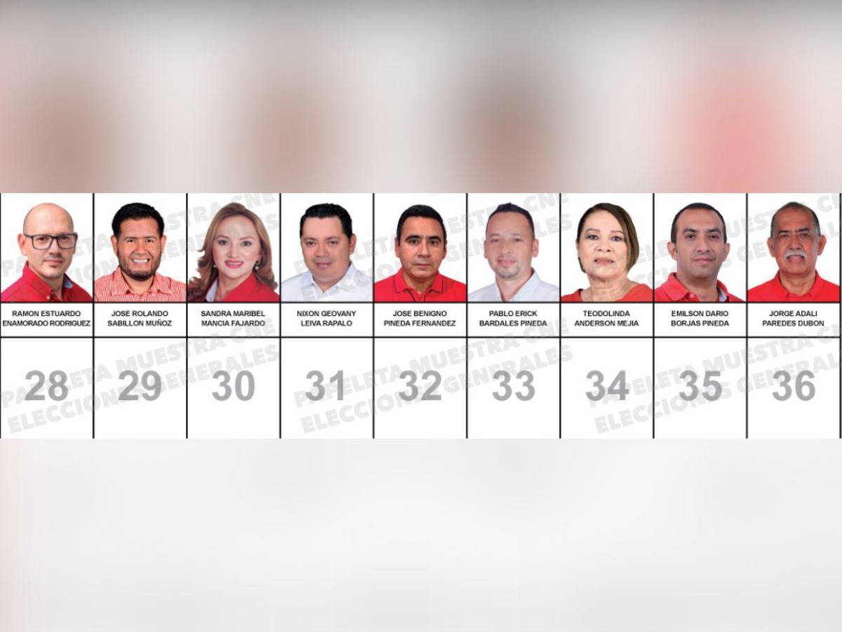 Diputados que buscan reelección y nuevos aspirantes integran la papeleta del Partido Liberal