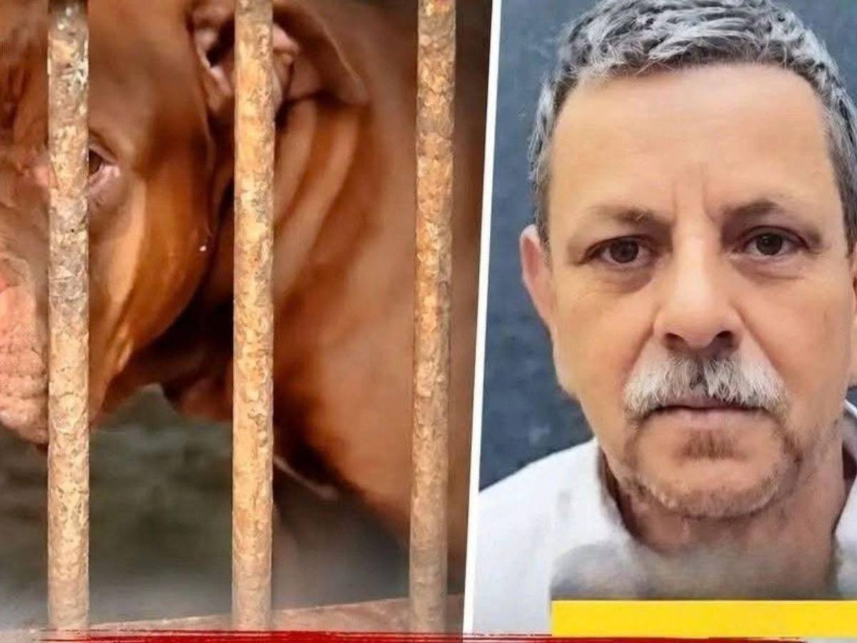 Autopsia de don Alfonzo revela que murió por mordeduras de su perro Zeus, confirma el MP