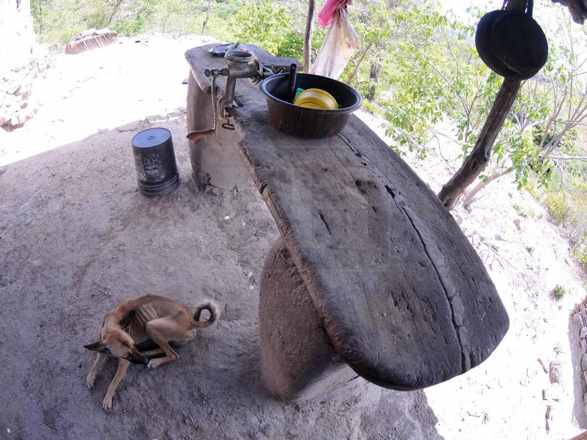 El dolor humano tras la sequía: en el Corredor Seco la situación es crítica, insostenible y urgente