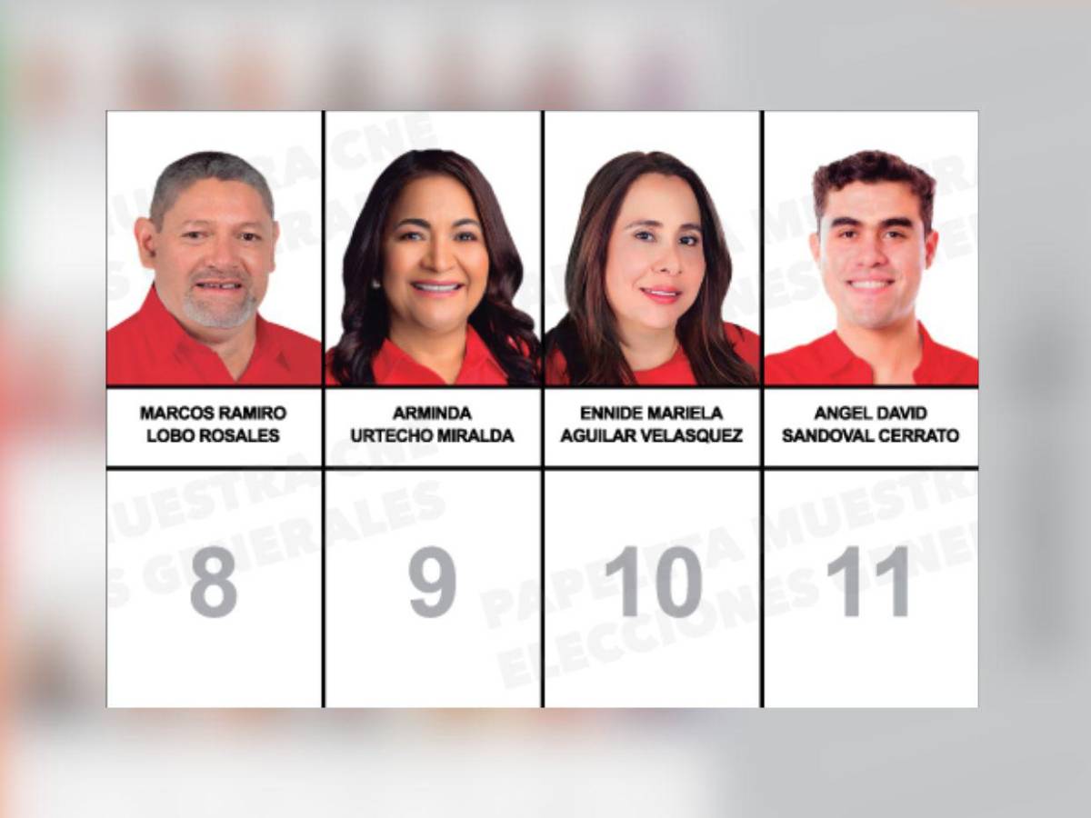 Sin Cálix, con un exmagistrado del TSE y otros rostros: candidatos a diputados por Olancho