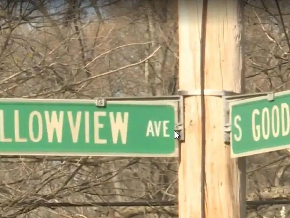 Alishon Torres, hondureña que asesinó de 14 disparos a un hombre de 58 años en EE UU