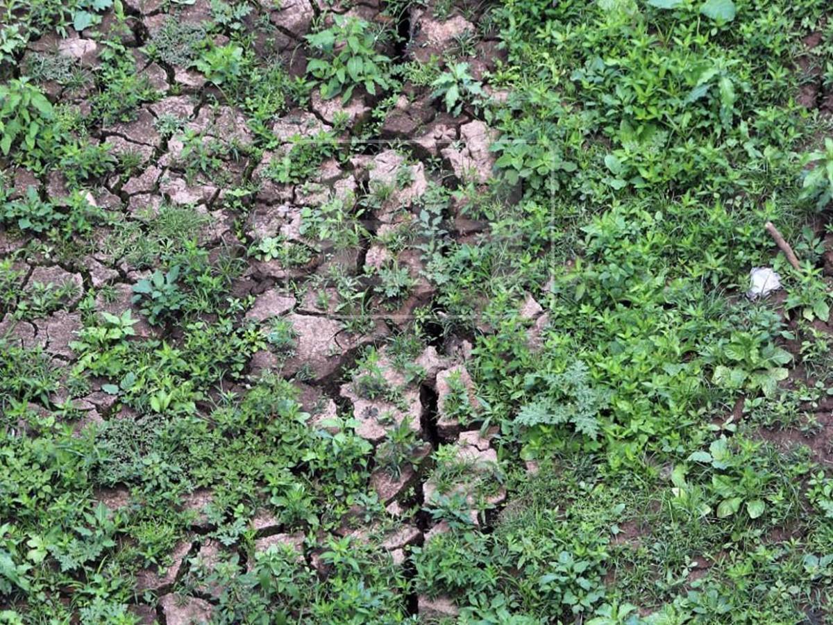 Las imágenes que anuncian una crisis hídrica histórica en la capital