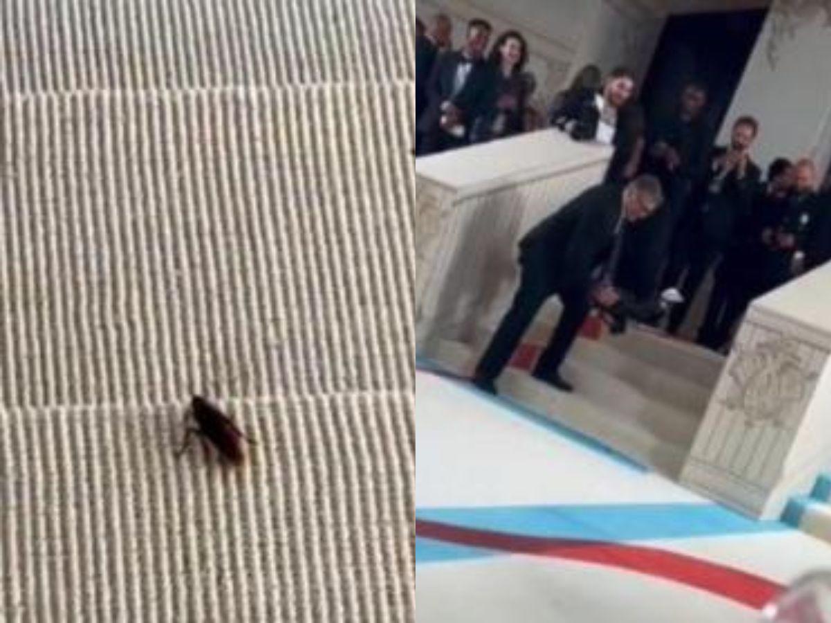 Una cucaracha se robó el show en la alfombra de la Met Gala 2023