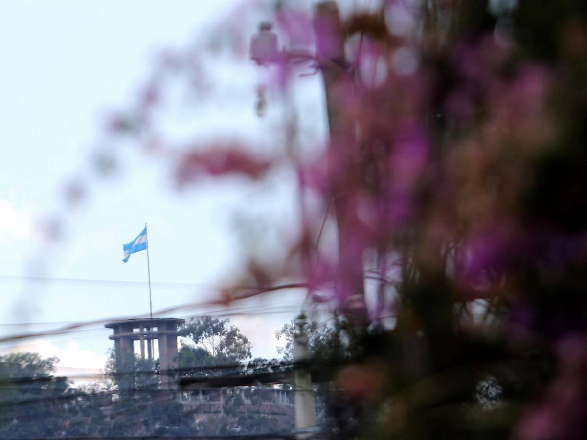 Los macuelizos con sus alegres colores embellecen la capital de Honduras