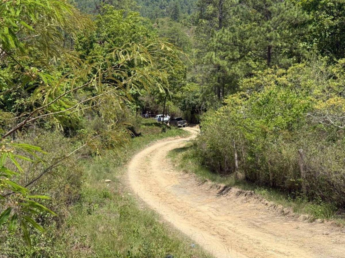 Con las manos atadas: así encontraron el cadáver de un joven en aldea Mateo