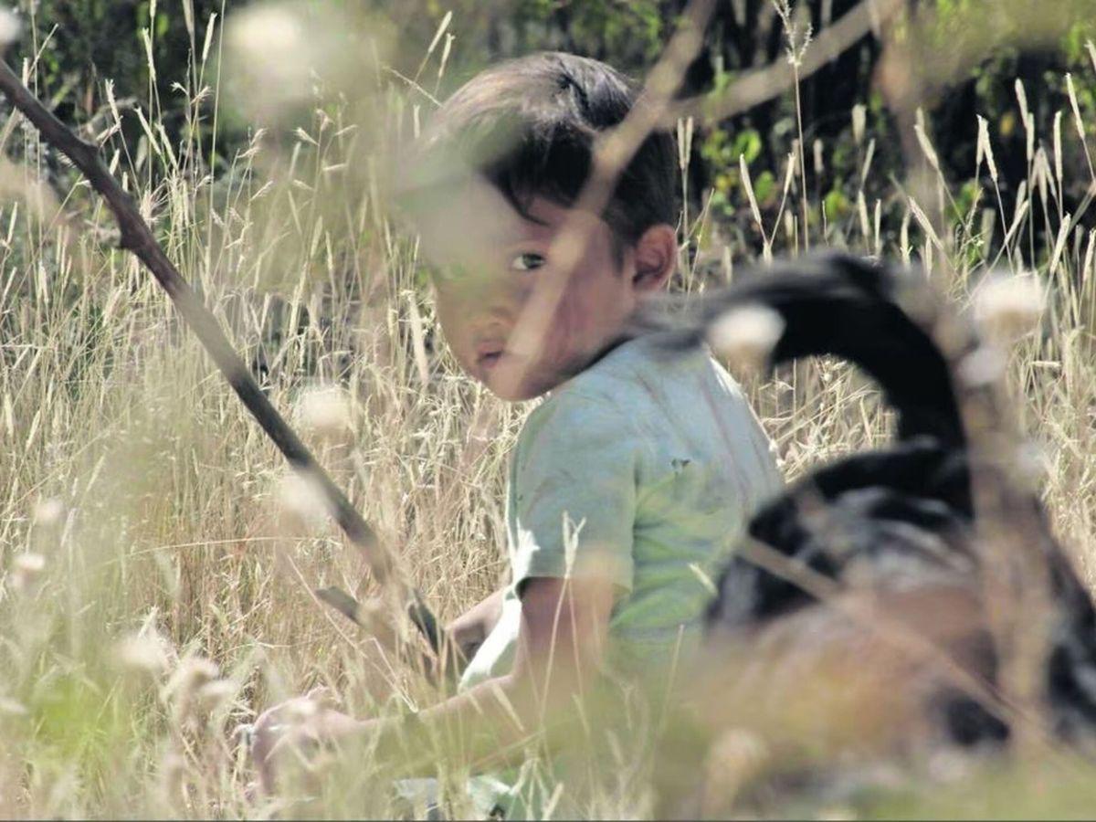 La película mexicana “Sujo”, ¿una esperanza contra el narcotráfico?