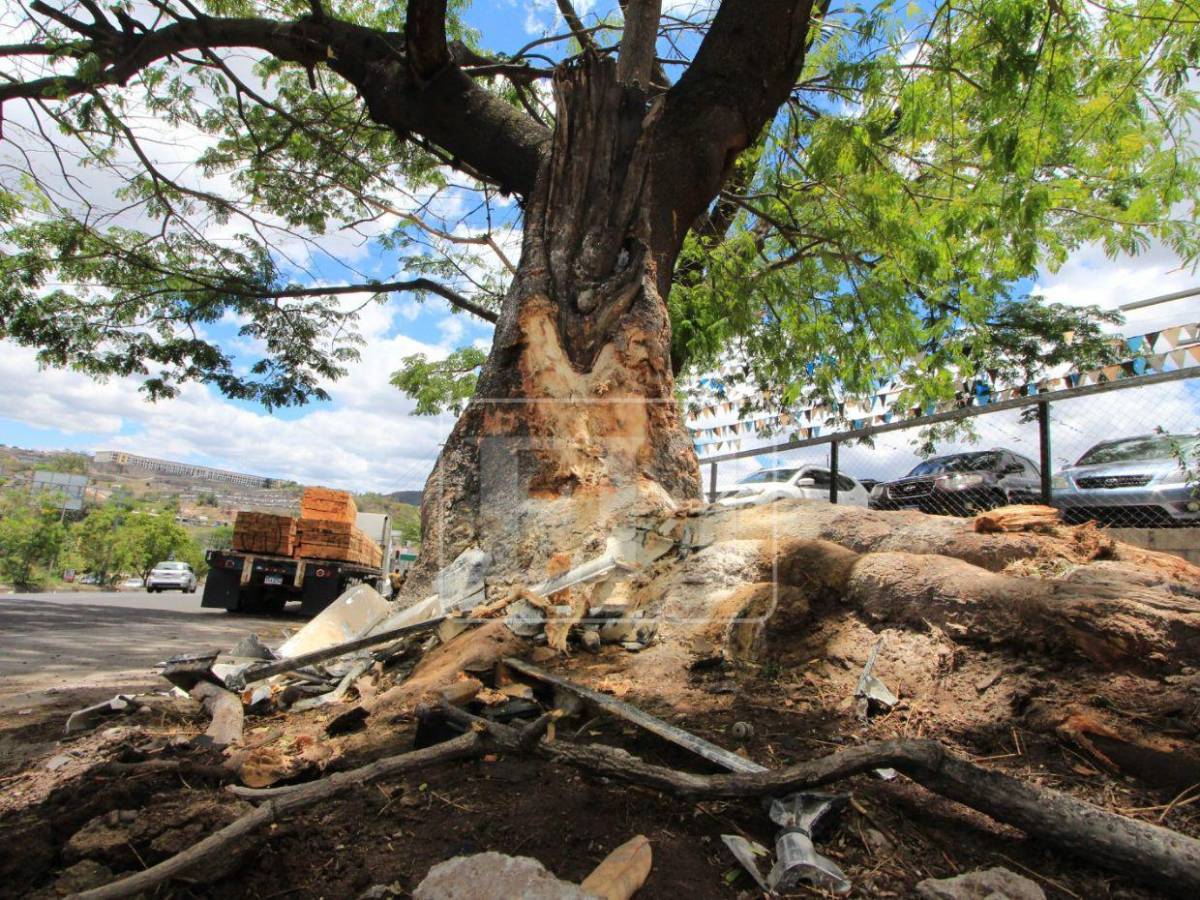 Solo escombros: la escena del accidente donde Hernán Martínez perdió la vida