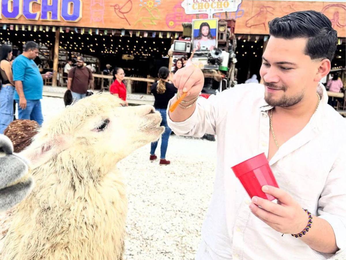 ¿Hernán Martínez sigue grave tras brutal choque?:Creemos en el poder de los milagros