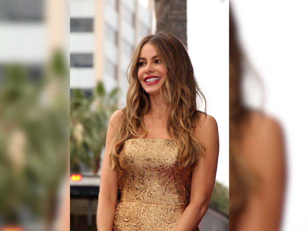 Sofía Vergara asegura que el amor debe de ir acompañado del dinero