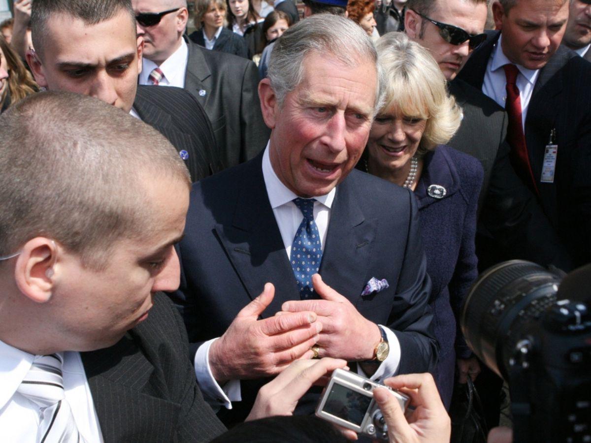 Carlos III estrena retrato oficial: así luce el monarca británico