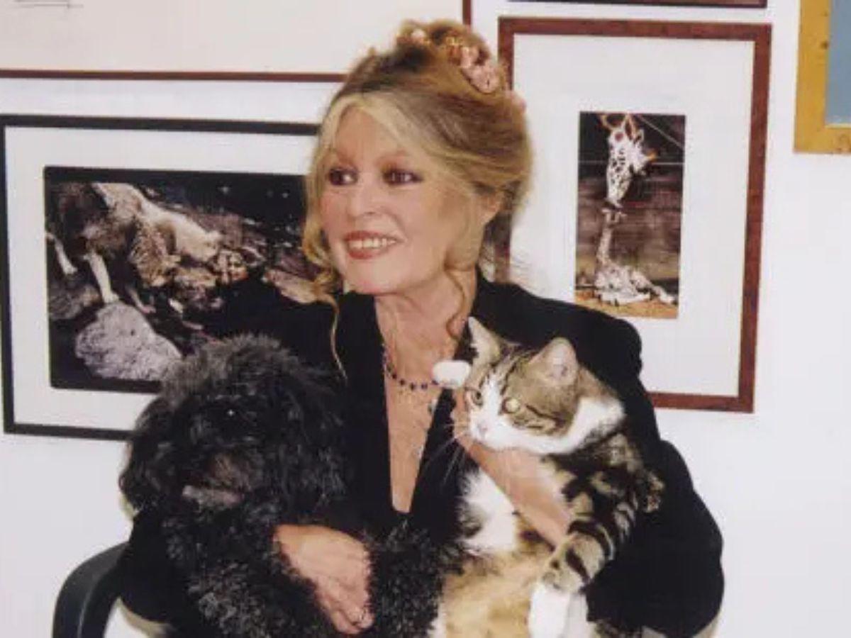 Antes y después de Brigitte Bardot: del ícono del cine a defensora de los animales