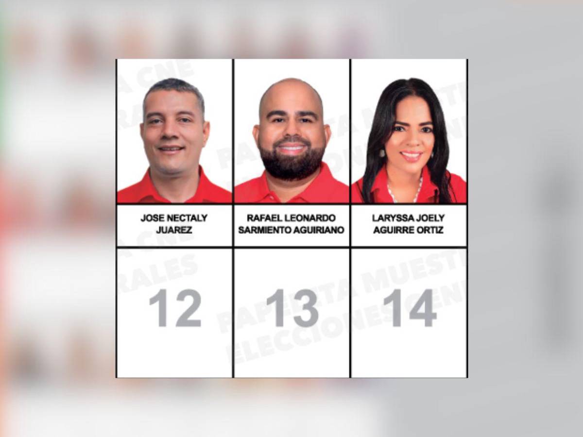 Sin Cálix, con un exmagistrado del TSE y otros rostros: candidatos a diputados por Olancho