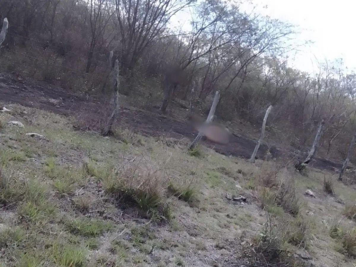 “Esto le pasará a quienes extorsionen en nuestro nombre”: Flor Matute, decapitada en  Sulaco