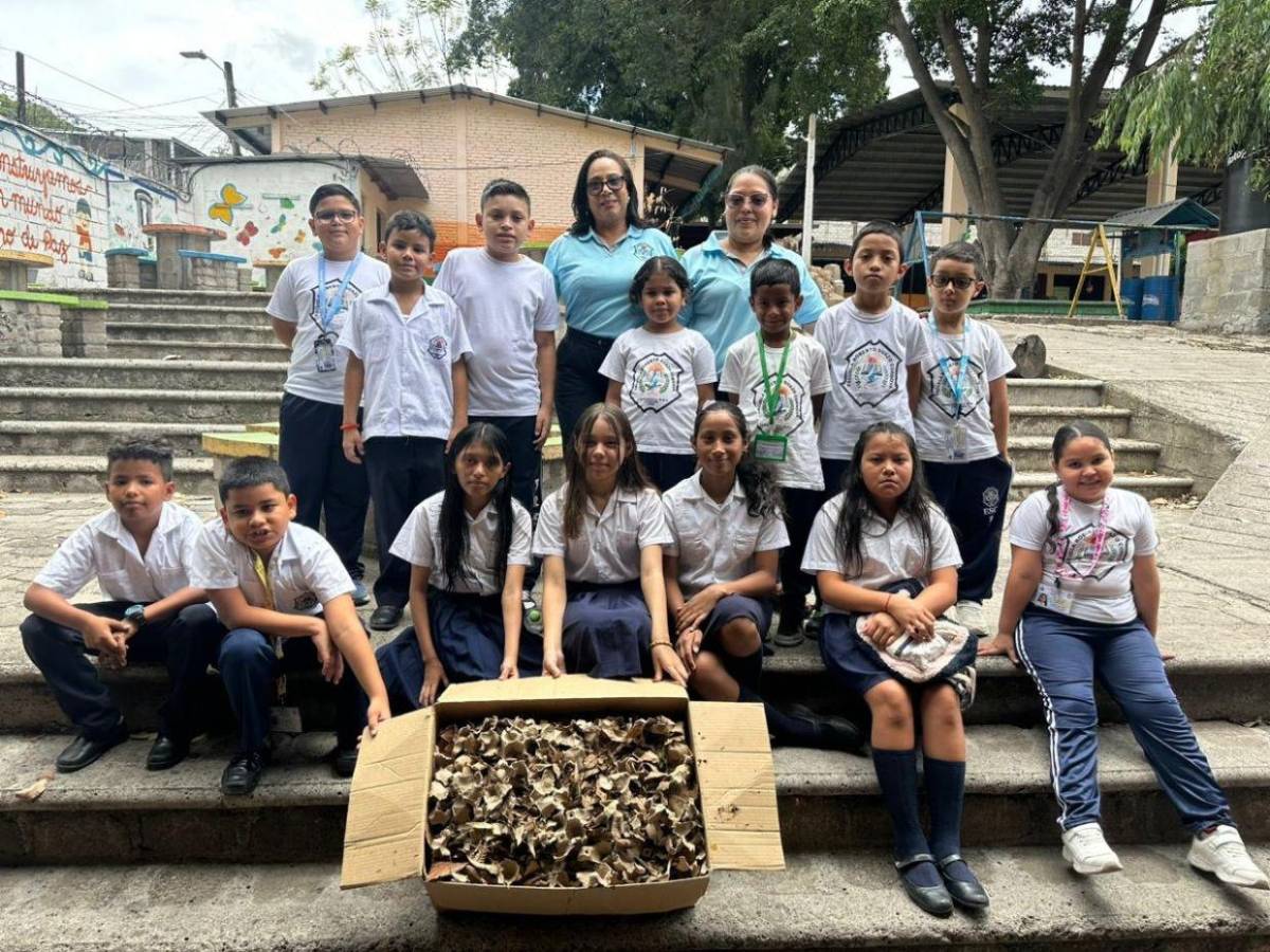 Escuelas Amigables: Niños ya son expertos en elaboración de compostaje
