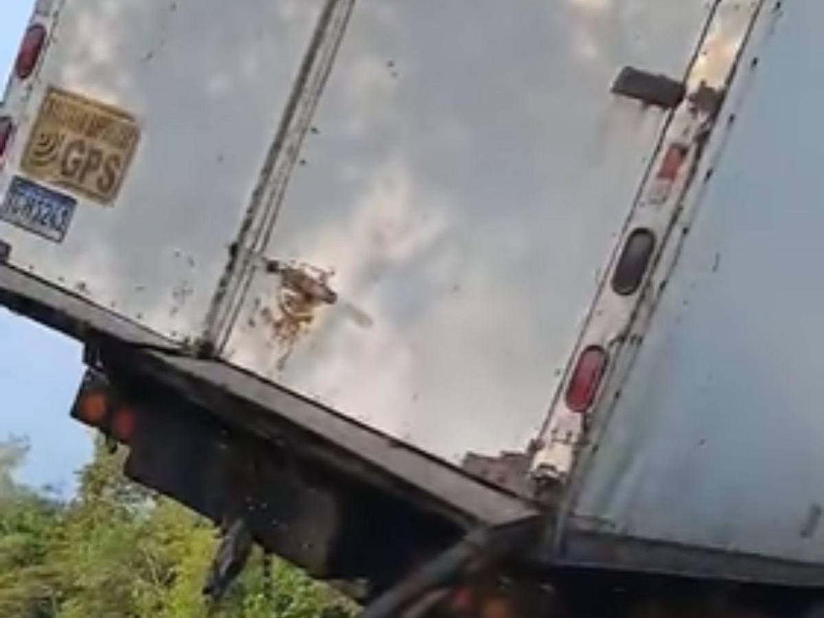 Por esquivar un perro: Camión queda al filo de puente y deja conductor herido en La Ceiba