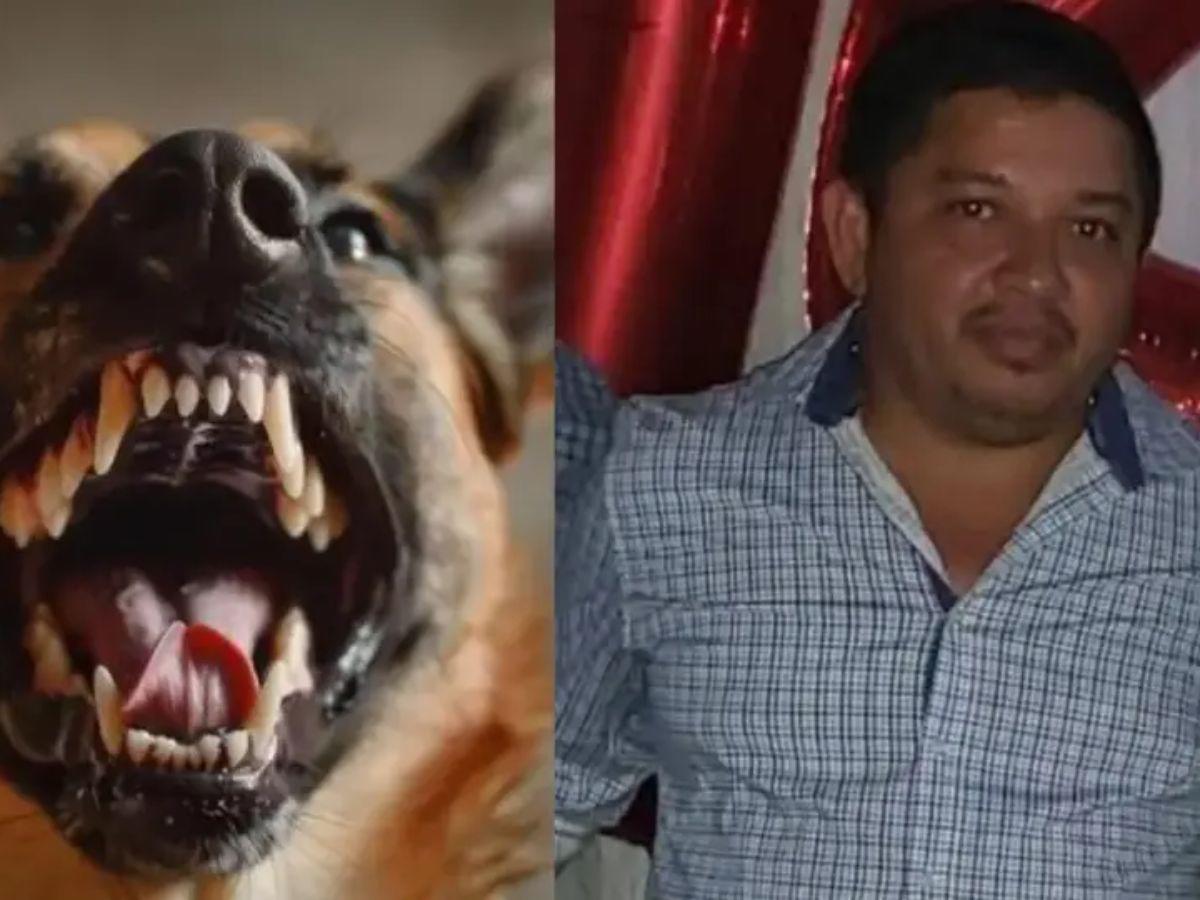 Rafael Herrera, exregidor asesinado por el dueño de un perro tras reclamarle que mordió a su hijo