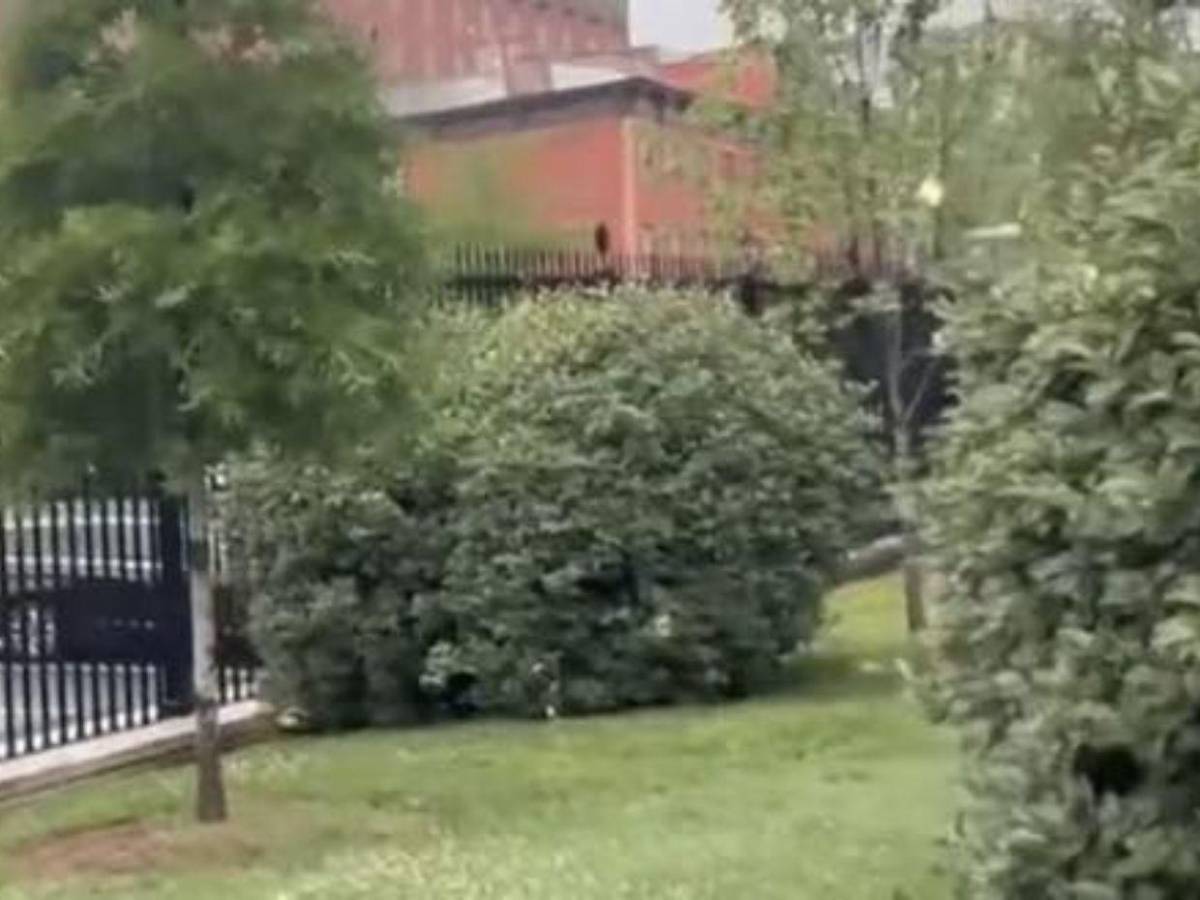 Tenía problemas mentales: Nasire Best, el hombre que abrió fuego cerca de la Casa Blanca