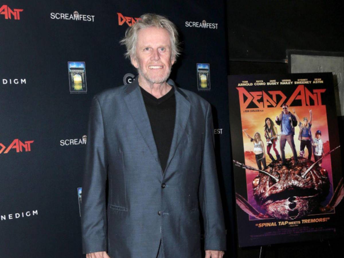 Gary Busey: actor de 81 años evita prisión tras acoso sexual en convención de cine de terror