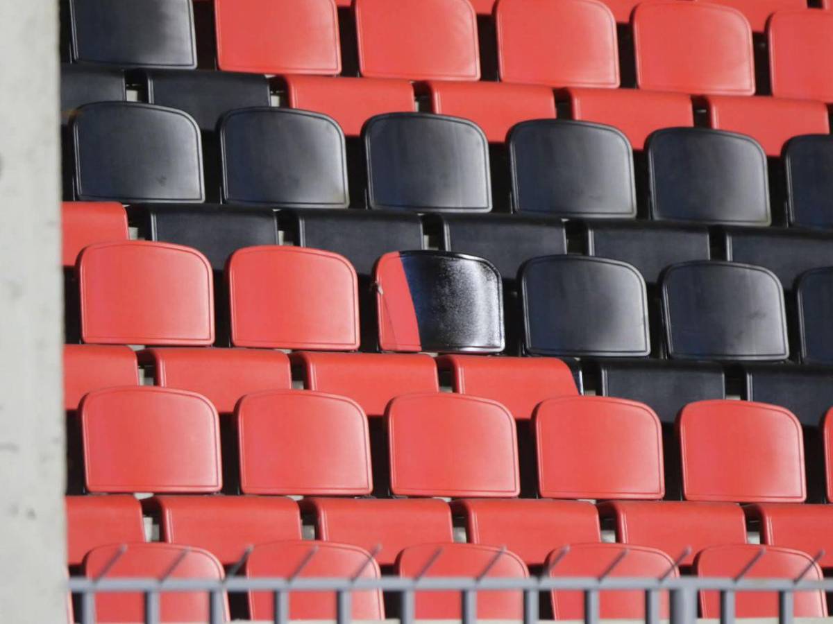 ¿Por Venezuela? Este es el verdadero significado del color de nuevas gradas en el Nacional
