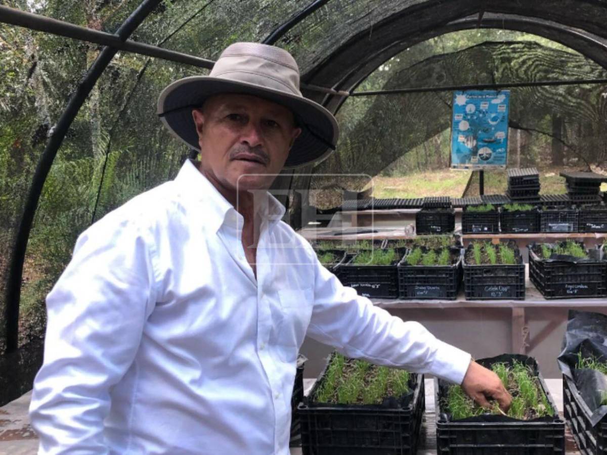 Regidor de Danlí: ¿Quién es Henry Valladares, docente acusado de abusar y embarazar a una alumna?