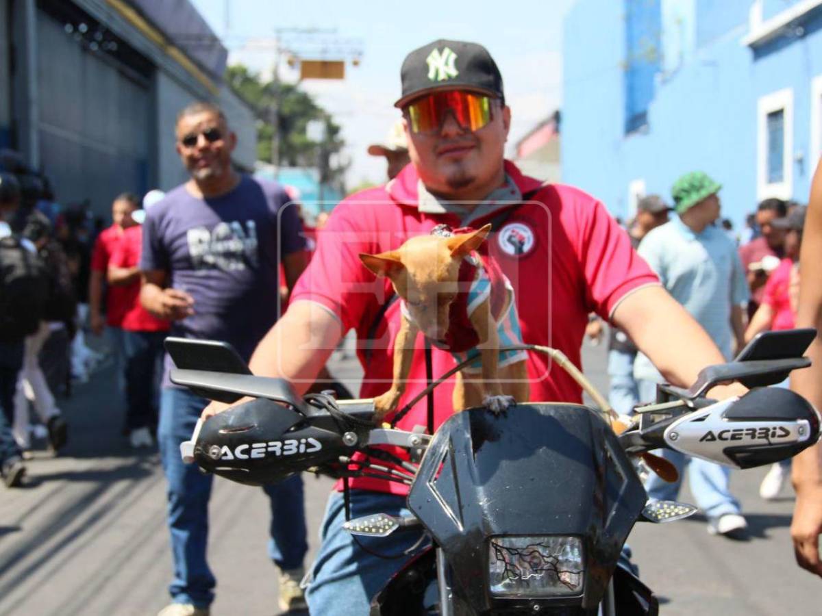 Pólvora, disfraces y pancartas marcan la marcha del 1 de mayo en la capital