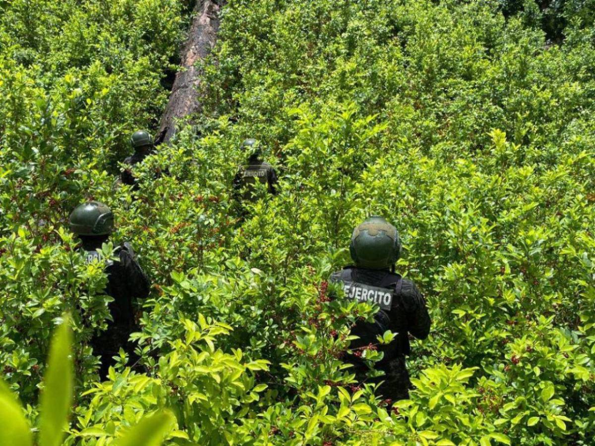 Sicarios de Támara, túneles y narcotráfico: las 10 investigaciones de EL HERALDO