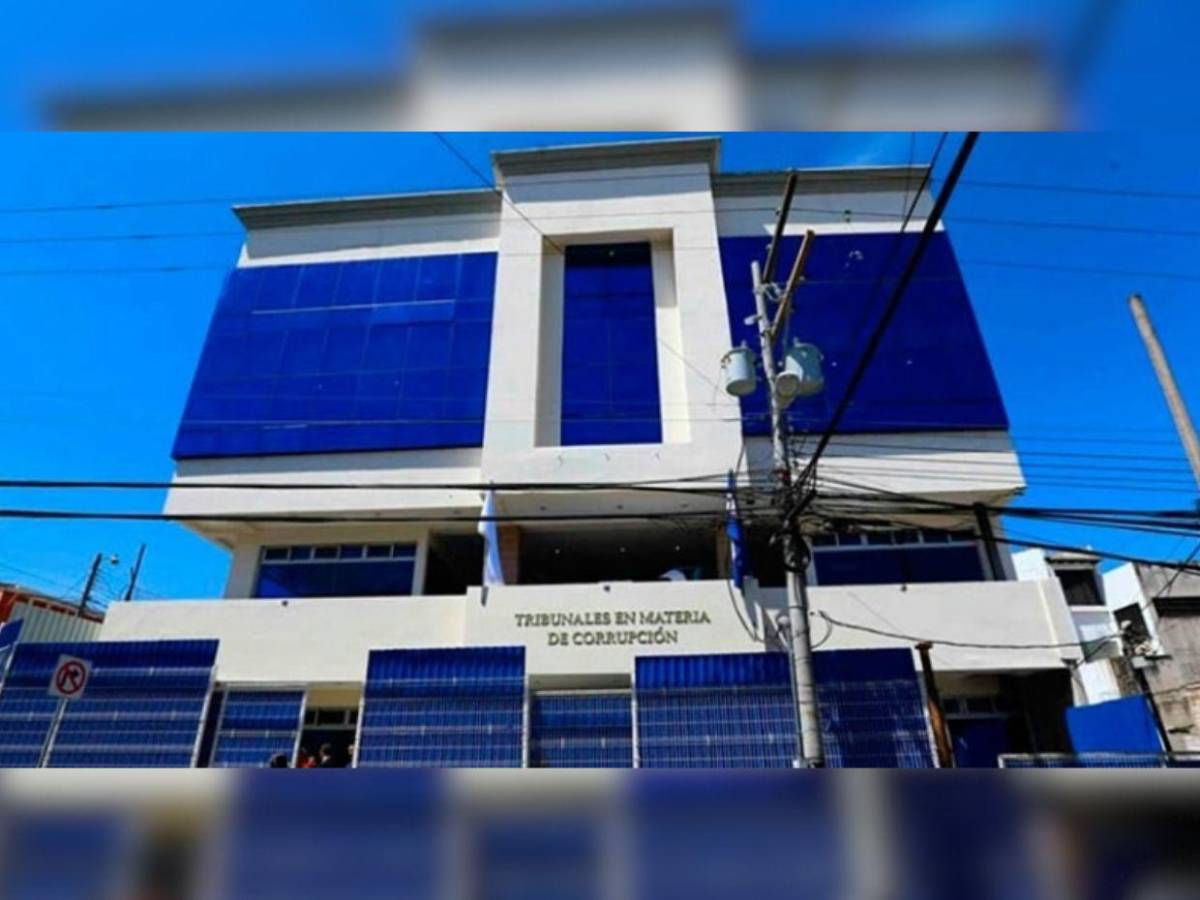 “La jueza de acero”: quién es la nueva encargada del Circuito de Criminalidad Organizada en la zona norte