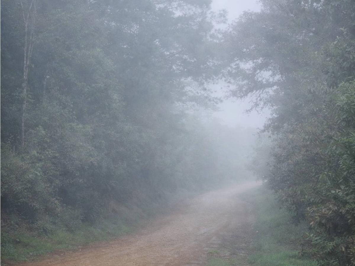 Intibucá llegó hasta 2 grados: así se sintió la madrugada más helada de Honduras