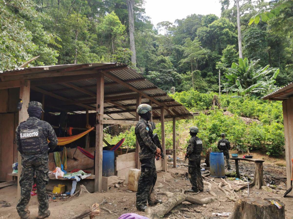 Fuerzas Armadas desmantelan narcolaboratorio y plantación de coca en Iriona, Colón