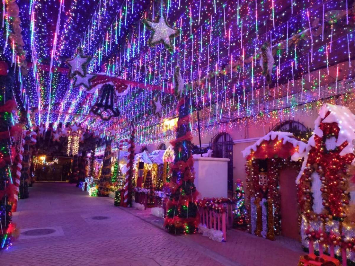 Horarios y lugares que puedes visitar con tu familia en esta Navidad y Año Nuevo Horarios y lugares que puedes visitar con tu familia en esta Navidad y Año Nuevo