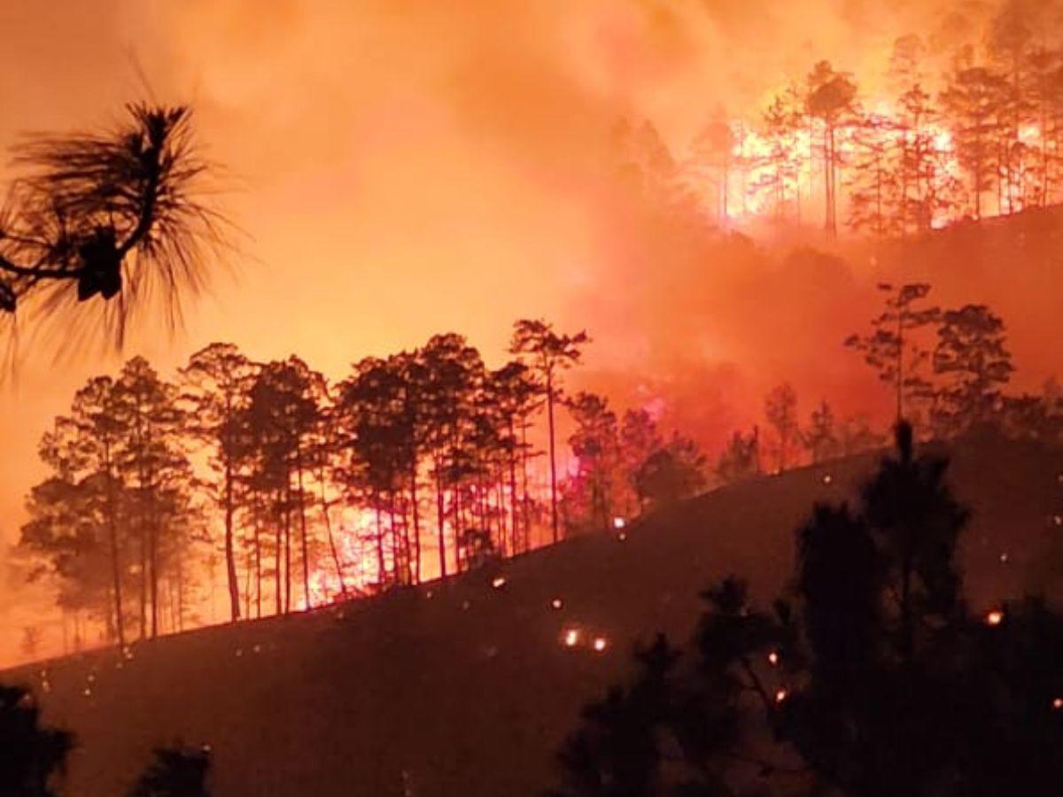 ¡Arde en llamas Triquilapa! El fuego devora uno de los pulmones de Tegucigalpa
