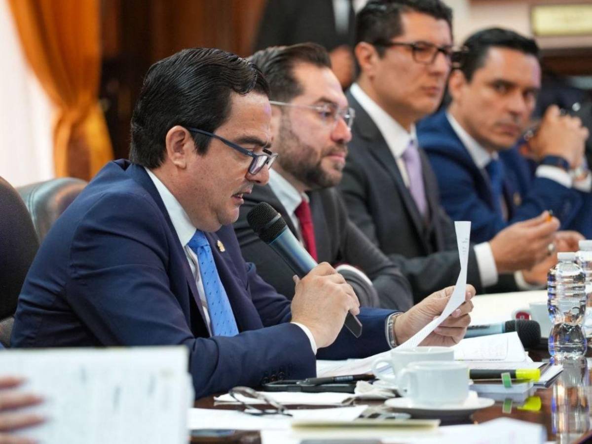 Estos fueron los puntos clave de la comparecencia de Johel Zelaya en el Congreso