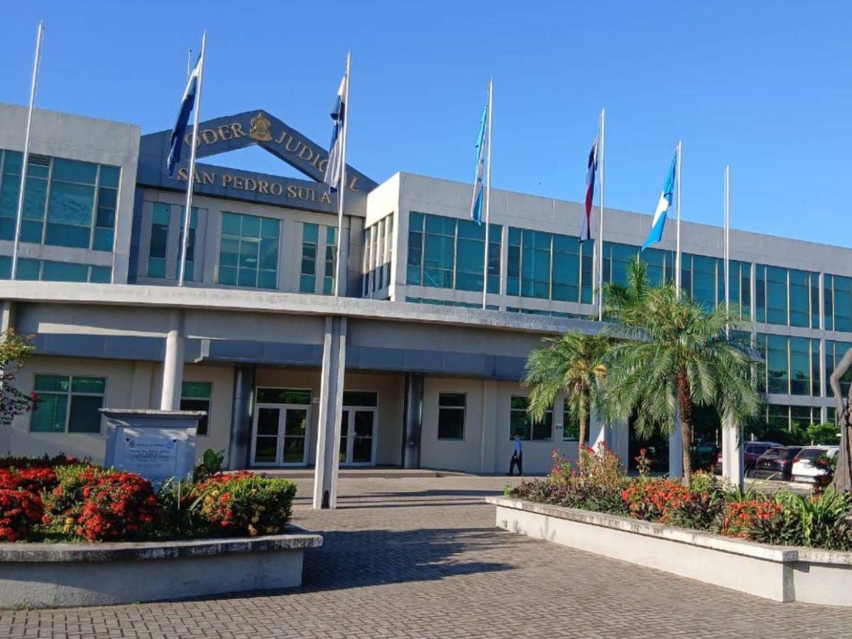 “La jueza de acero”: quién es la nueva encargada del Circuito de Criminalidad Organizada en la zona norte