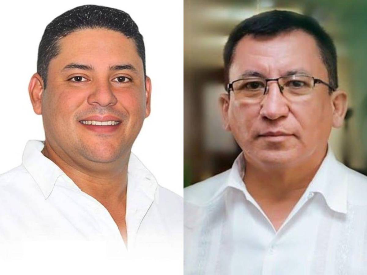 Diputados de Libre que buscan ser reelectos en las primarias del 9 de marzo