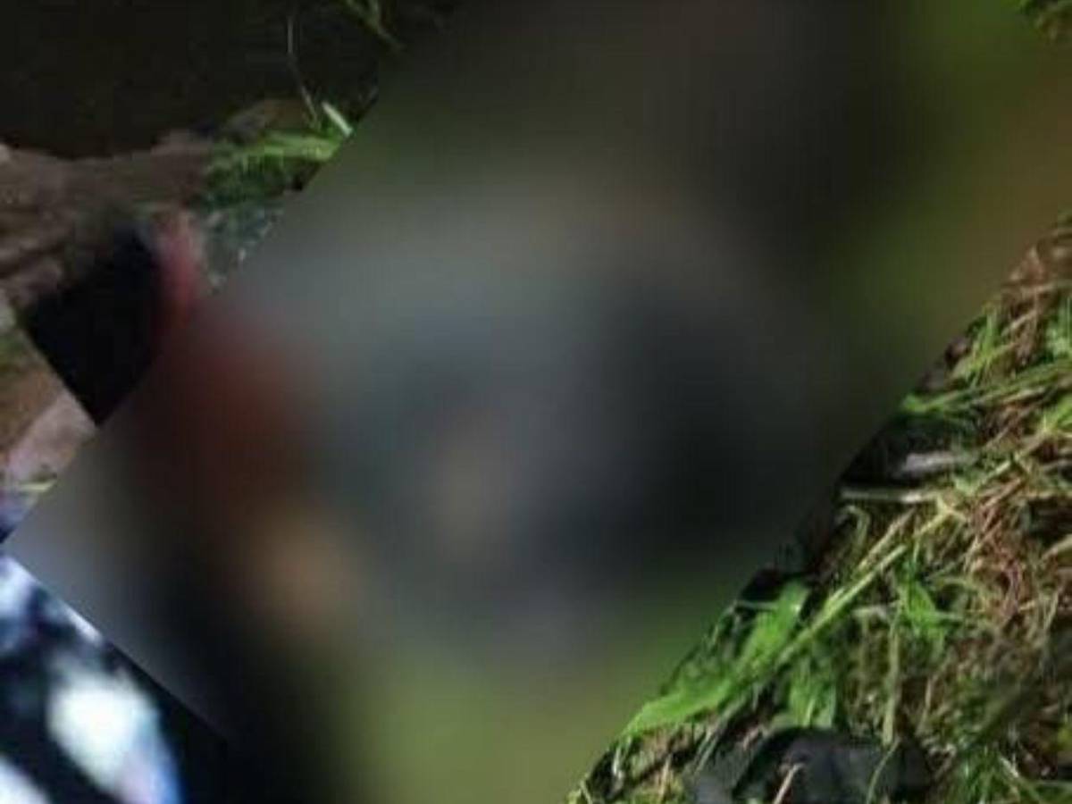 Díganle a mi familia que la amo: últimas palabras de militar antes de morir en Yoro