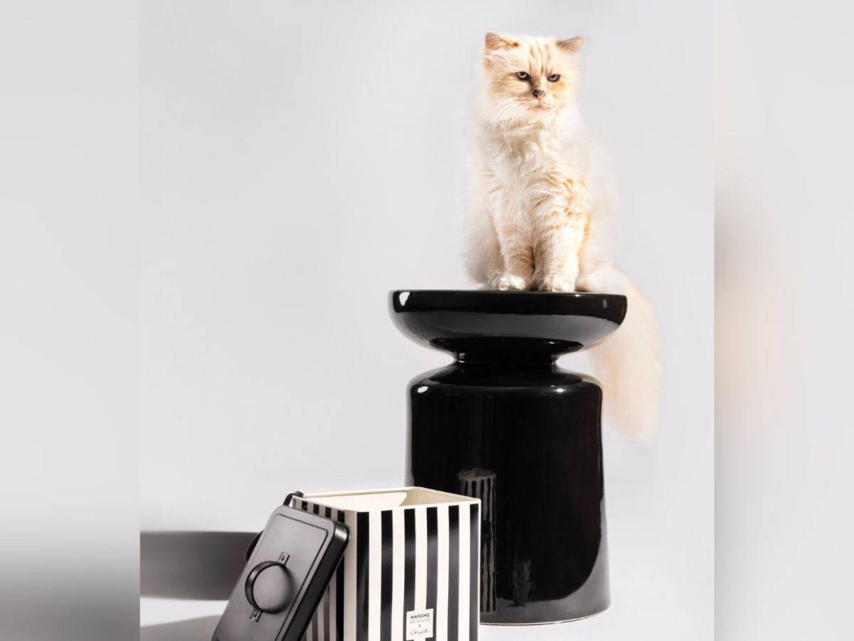 Choupette, la gata de Karl Lagerfeld, aún no recibe su millonaria herencia