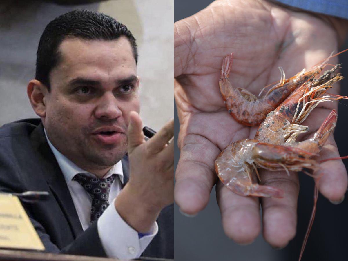 Tomás Zambrano sobre cierre de camaroneras: “Libre no garantizó un nuevo mercado”