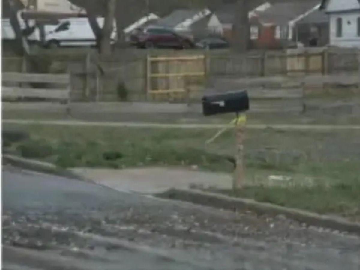 Mató a un hombre por tocar a su hermana: Alishon Torres, hondureña arrestada en EE UU