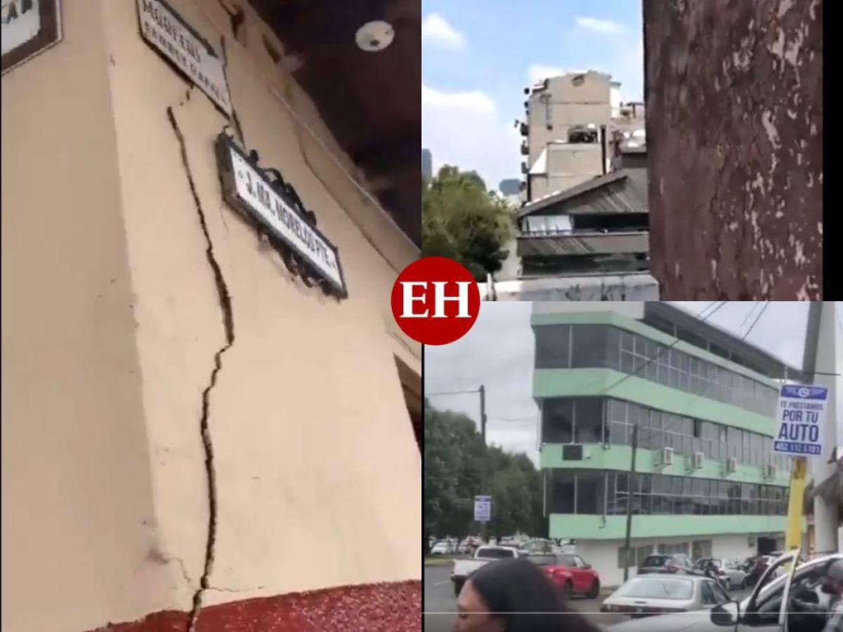 Mexicanos captan en videos ‘sacudidas‘ provocadas por fuerte sismo de 7.6