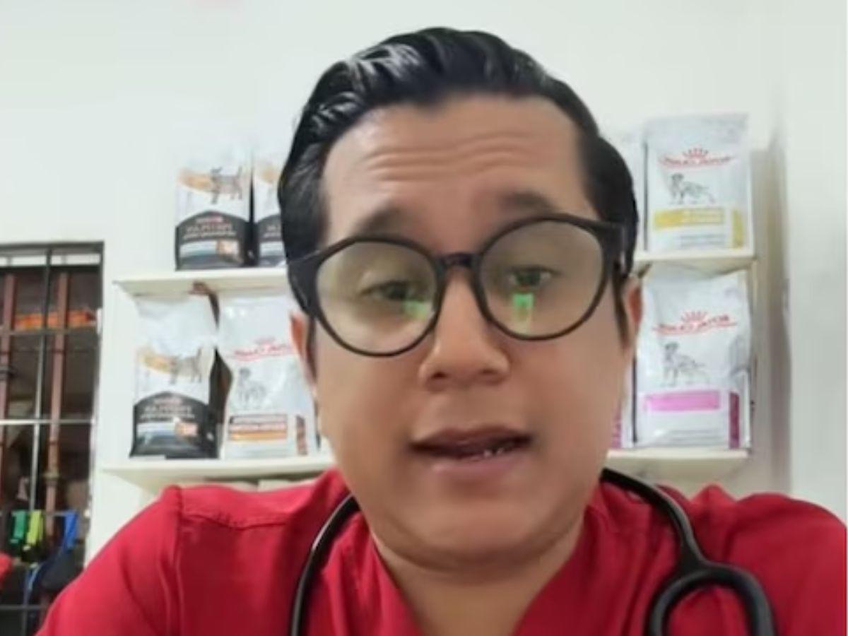 “Lo tuve que dormir”: veterinario revela su experiencia tratando a un paciente Therian