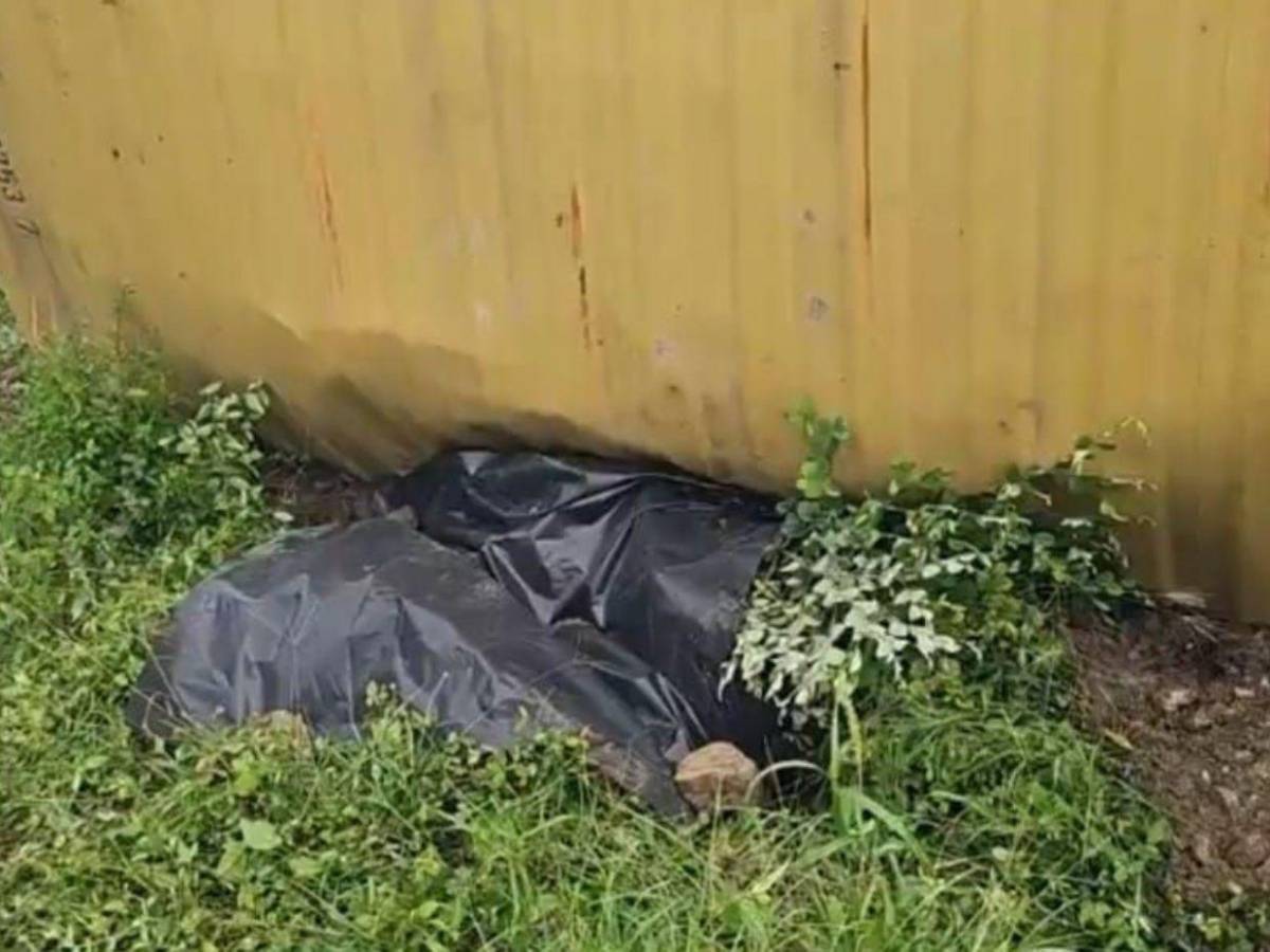 Imágenes del trágico accidente donde una mujer murió aplastada por un contenedor