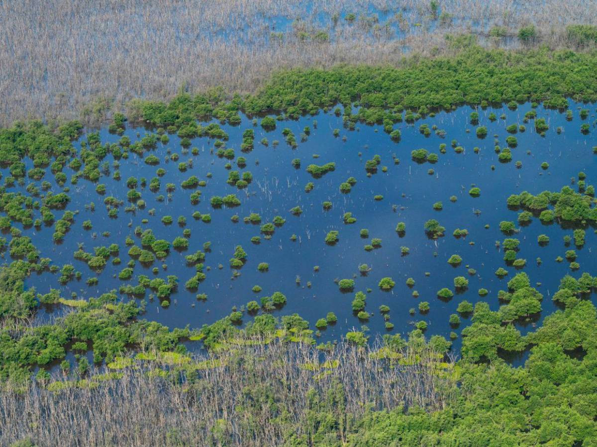 Así es Alligator Alcatraz, la nueva prisión para migrantes en Florida