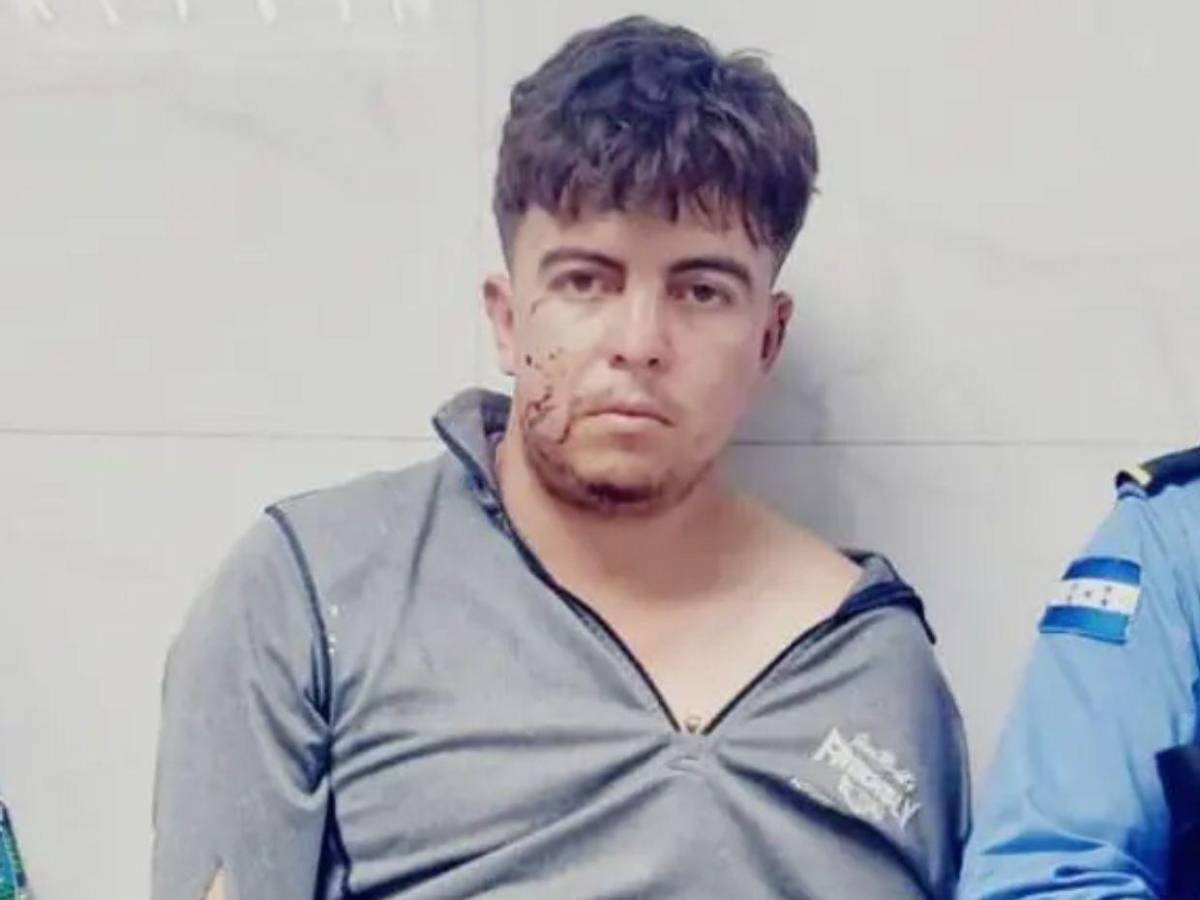 Agredió a un gato y le reclamaron: Ricardo mató a su tía e hirió a su mamá y abuela en Los Pinos
