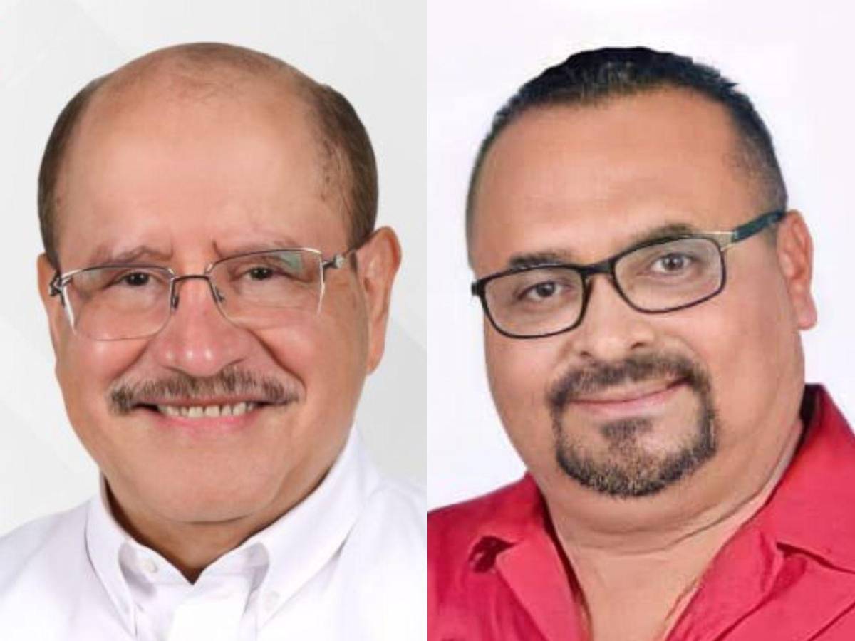 Diputados de Libre que buscan ser reelectos en las primarias del 9 de marzo