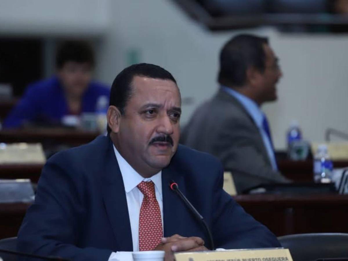 Diputados con más de una década en el Congreso Nacional que buscan reelegirse