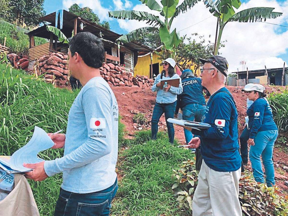 Equipo de JICA asesora en tema de desastres y deslizamientos en la capital