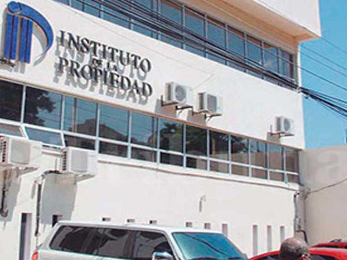 Más de dos años sin placas: ¿Qué planes tiene el nuevo gobierno para cubrir la mora?