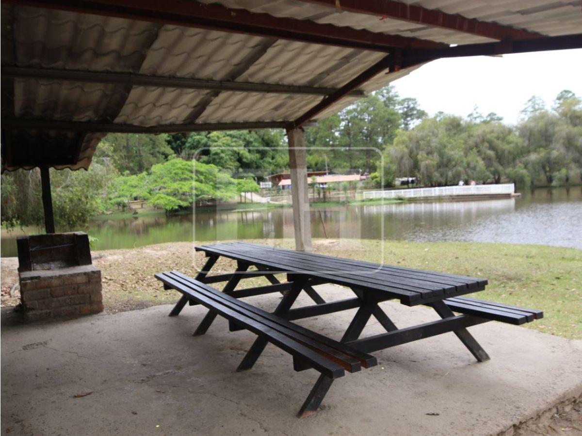 Frescura, fauna y viajes en bote de pedales: disfruta del Parque Aurora esta Semana Santa