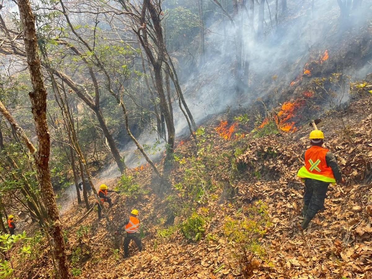 Solo durante el fin de semana se registraron 15 incendios forestales en Honduras